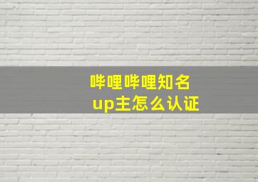 哔哩哔哩知名up主怎么认证