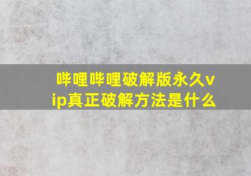 哔哩哔哩破解版永久vip真正破解方法是什么