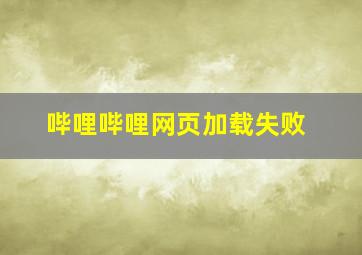 哔哩哔哩网页加载失败