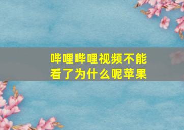 哔哩哔哩视频不能看了为什么呢苹果