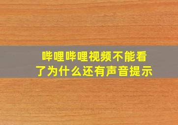 哔哩哔哩视频不能看了为什么还有声音提示