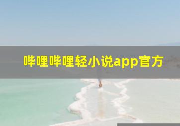 哔哩哔哩轻小说app官方