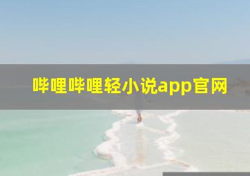 哔哩哔哩轻小说app官网