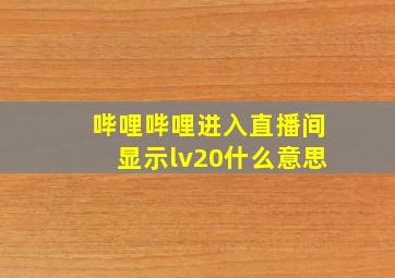 哔哩哔哩进入直播间显示lv20什么意思