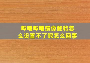 哔哩哔哩镜像翻转怎么设置不了呢怎么回事