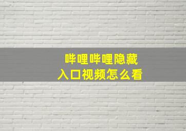 哔哩哔哩隐藏入口视频怎么看