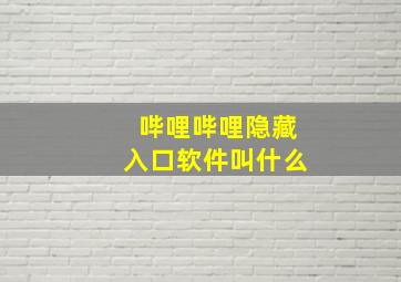 哔哩哔哩隐藏入口软件叫什么