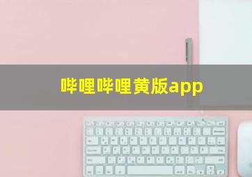 哔哩哔哩黄版app