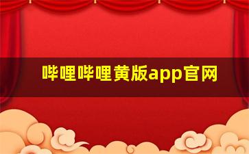 哔哩哔哩黄版app官网