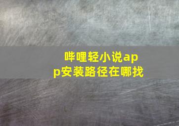 哔哩轻小说app安装路径在哪找