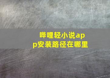 哔哩轻小说app安装路径在哪里