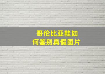 哥伦比亚鞋如何鉴别真假图片