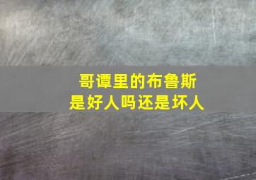 哥谭里的布鲁斯是好人吗还是坏人