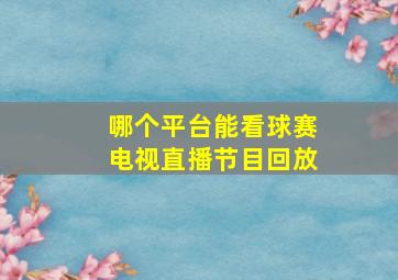 哪个平台能看球赛电视直播节目回放