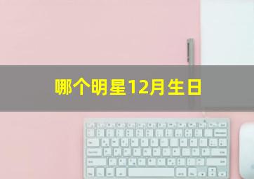 哪个明星12月生日