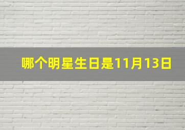 哪个明星生日是11月13日