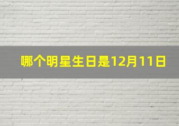 哪个明星生日是12月11日