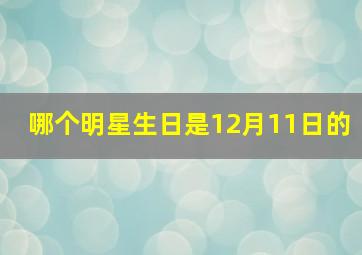 哪个明星生日是12月11日的