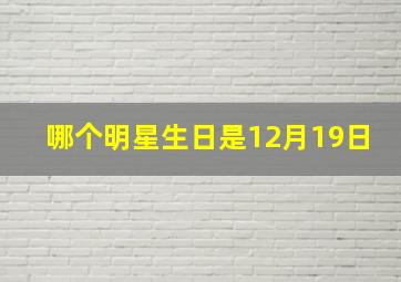 哪个明星生日是12月19日