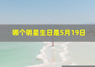 哪个明星生日是5月19日