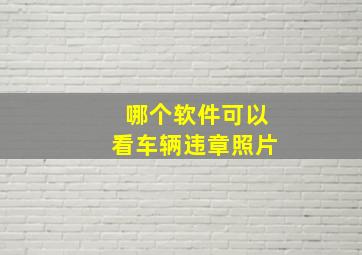 哪个软件可以看车辆违章照片