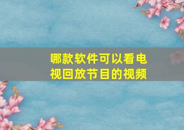 哪款软件可以看电视回放节目的视频