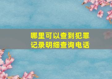 哪里可以查到犯罪记录明细查询电话