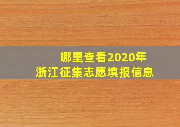 哪里查看2020年浙江征集志愿填报信息