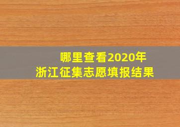 哪里查看2020年浙江征集志愿填报结果