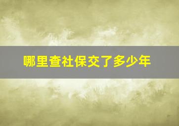 哪里查社保交了多少年