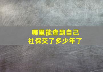 哪里能查到自己社保交了多少年了