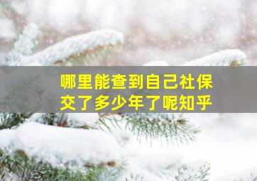 哪里能查到自己社保交了多少年了呢知乎