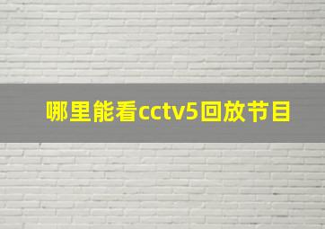 哪里能看cctv5回放节目