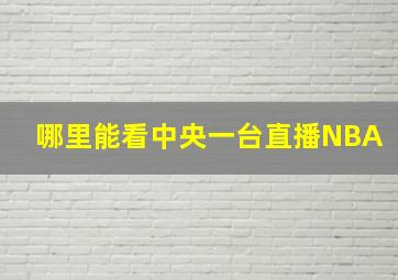 哪里能看中央一台直播NBA