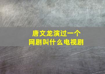 唐文龙演过一个网剧叫什么电视剧