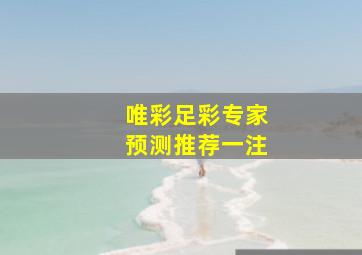 唯彩足彩专家预测推荐一注