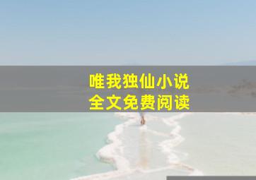 唯我独仙小说全文免费阅读