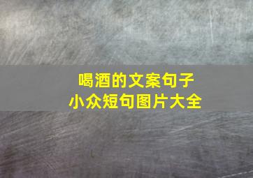 喝酒的文案句子小众短句图片大全