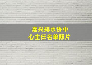 嘉兴排水协中心主任名单照片