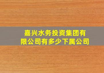 嘉兴水务投资集团有限公司有多少下属公司