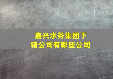 嘉兴水务集团下辖公司有哪些公司