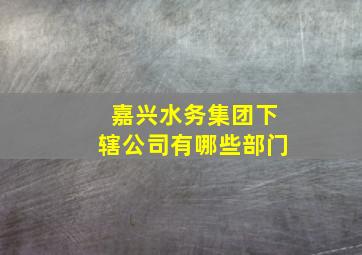 嘉兴水务集团下辖公司有哪些部门