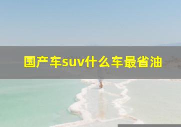 国产车suv什么车最省油