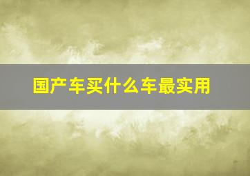 国产车买什么车最实用