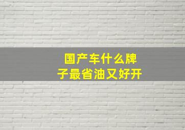 国产车什么牌子最省油又好开