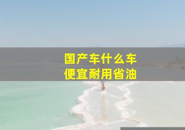 国产车什么车便宜耐用省油