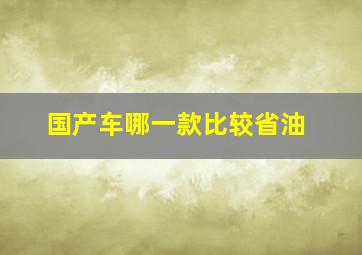 国产车哪一款比较省油