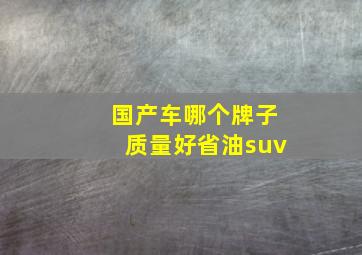 国产车哪个牌子质量好省油suv