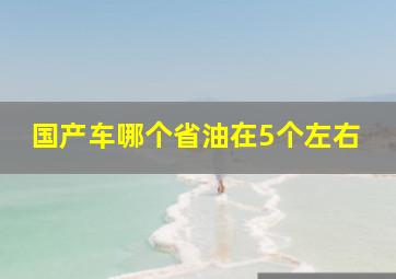 国产车哪个省油在5个左右