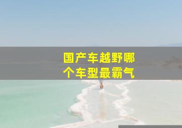 国产车越野哪个车型最霸气